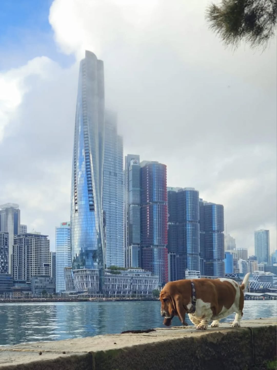 Daphne - Living up to my Instagram handle....