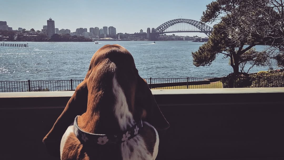 Daphne - Are you authorised to be in my park???